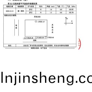檢測報告(gao)（2024.12.31）