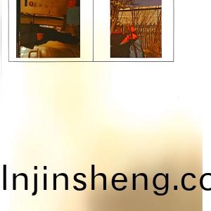 檢(jian)測報告（2024.12.31）